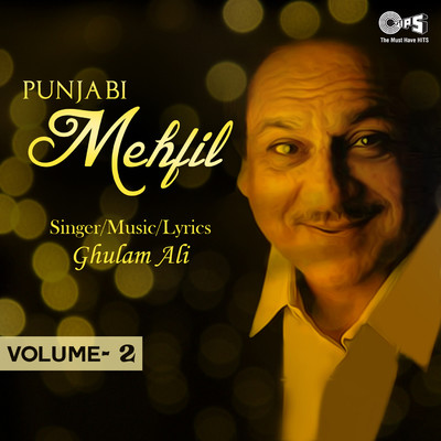 アルバム/Punjabi Mehfil, Vol. 2/Ghulam Ali