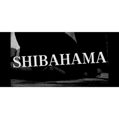 Dreaming of SHIBAHAMA/4×4=16