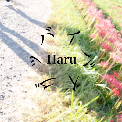 シングル/1.good-bye-bye/Haru