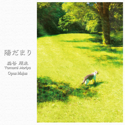 シングル/陽だまり/Tomomi Moriya
