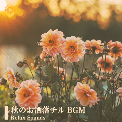 muggy night (feat. Beats No Ease)/ALL BGM CHANNEL