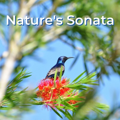 Nature's Sonata/Heavenly Tones