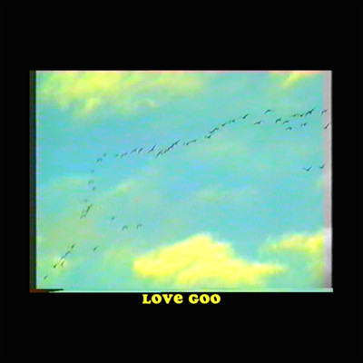 アルバム/Love Goo/Bull