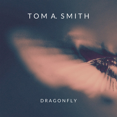 Dragonfly/Tom A. Smith