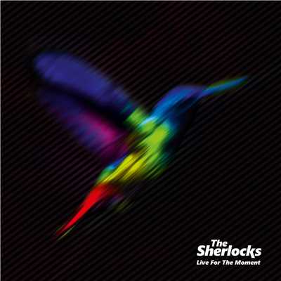 Live for the Moment/The Sherlocks