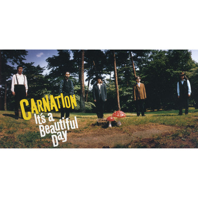 It's a Beautiful Day/カーネーション