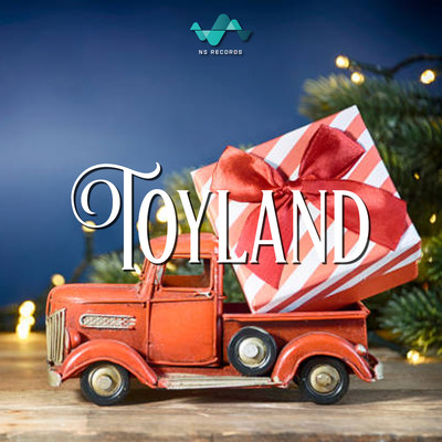 Toyland/NS Records