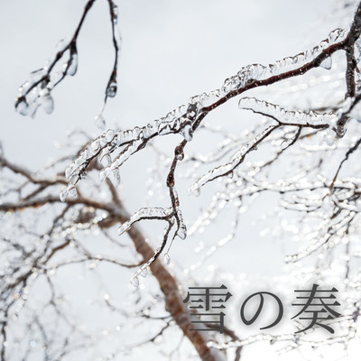 雪の降り注ぐ森/Snowflakes