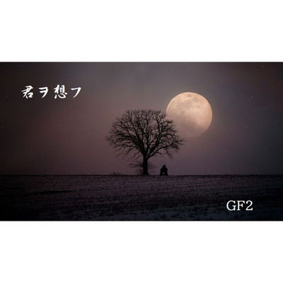 シングル/君ヲ想フ/GF2