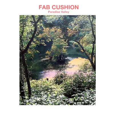 Paradise Valley/Fab Cushion