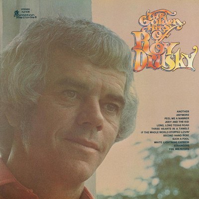 アルバム/The Golden Hits of Roy Drusky/ロイ・ドラスキー