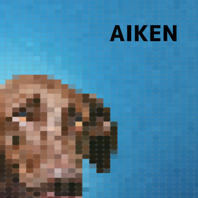 アルバム/AIKEN/hiro