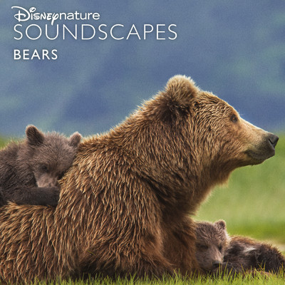 Wind in the Grassy Meadow by the Stream (From ”Disneynature Soundscapes: Bears”)/ディズニーネイチャー サウンドスケープ