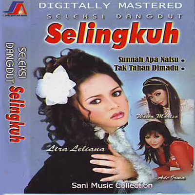 Seleksi Dangdut Selingkuh/Various Artists