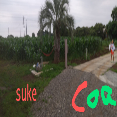 アルバム/coa/suke