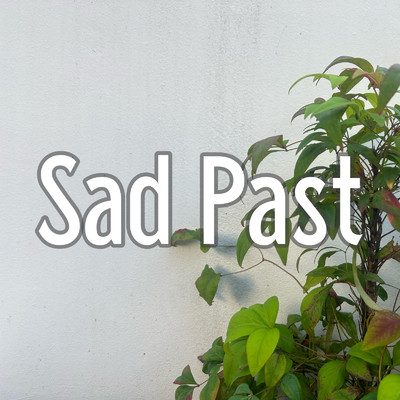 アルバム/Sad Past/メッタ489