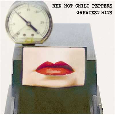 マイ・フレンズ/Red Hot Chili Peppers