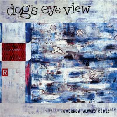 Down/Dog's Eye View