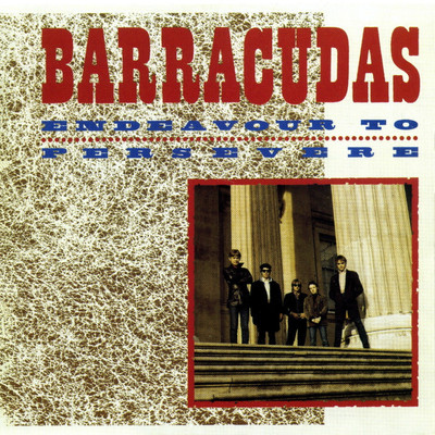 Barracuda/Barracudas
