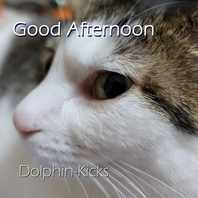 Good Afternoon/Dolphin-Kicks