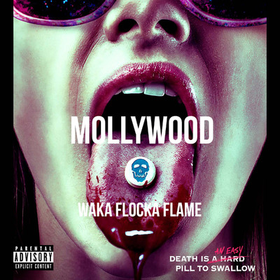 アルバム/Mollywood/Waka Flocka Flame