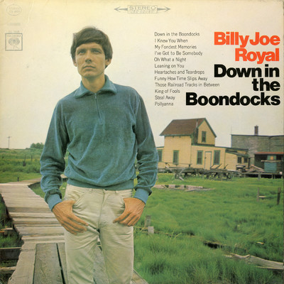 アルバム/Down in the Boondocks/Billy Joe Royal