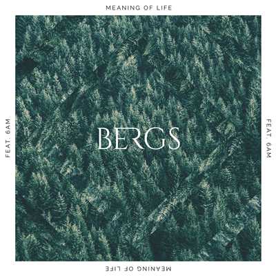 シングル/Meaning Of Life (featuring 6AM)/Bergs