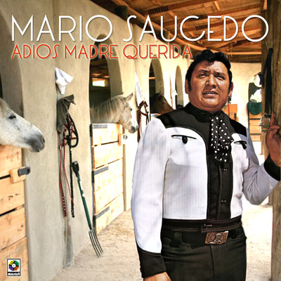 シングル/Cuando El Destino/Mario Saucedo