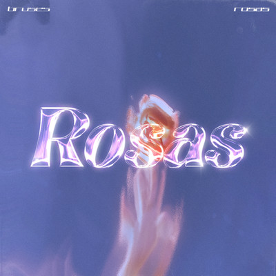 Rosas/Bruses