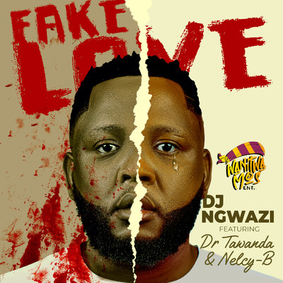 Fake Love (feat. Dr Tawanda & Nelcy-B)/DJ Ngwazi