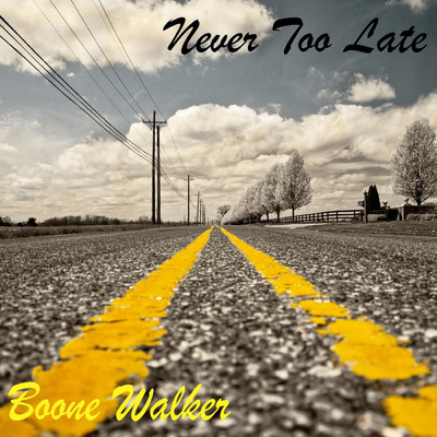 Never Too Late/Boone Walker