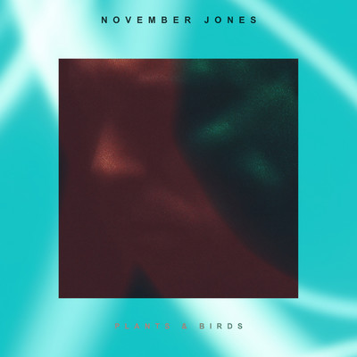 シングル/Plants & Birds/November Jones／Maldito／William Hennessey