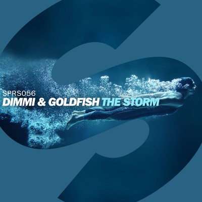 The Storm (Radio Edit)/DIMMI／Goldfish
