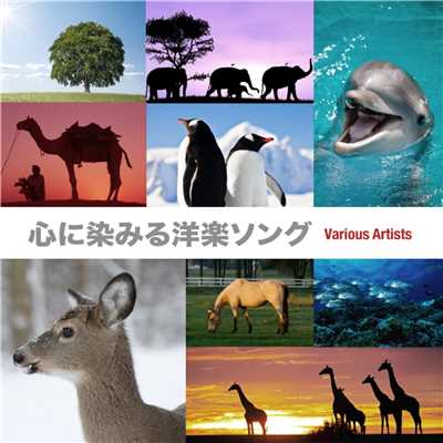 心に染みる洋楽ソング/Various Artists