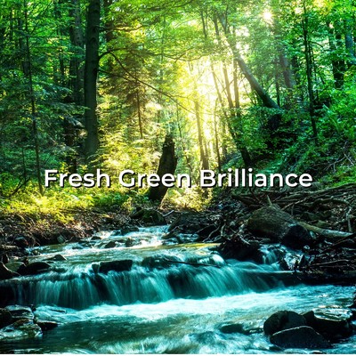 アルバム/Fresh Green Brilliance/Palette Clover