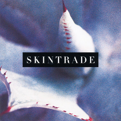 Null And Void/Skintrade
