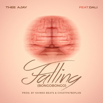 Falling (feat. Dali)/Thee AJay