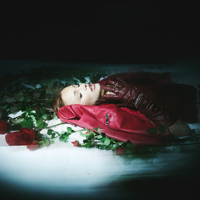 Bed Of Roses/ORKID