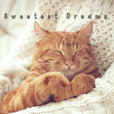 Sweetest Dreams/Piano Cats