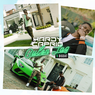 Hardy Caprio／DigDat
