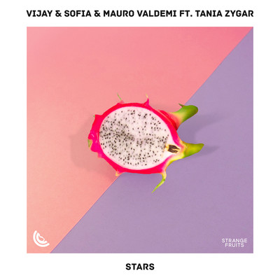 Stars (feat. Tania Zygar)/Vijay & Sofia Zlatko & Mauro Valdemi