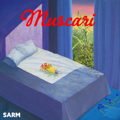 シングル/Muscari/SARM