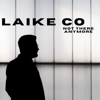 Not There Anymore/Laike Co