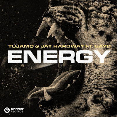 Energy (feat. Bay-C)/Tujamo x Jay Hardway