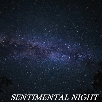 アルバム/SENTIMENTAL NIGHT/TandP