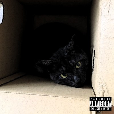 Black Out/CHILLCAT THE BASTET