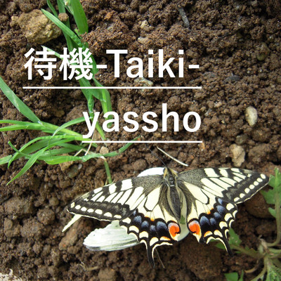 待機/yassho