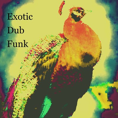 アルバム/Exotic Dub Funk/Enigmatic City
