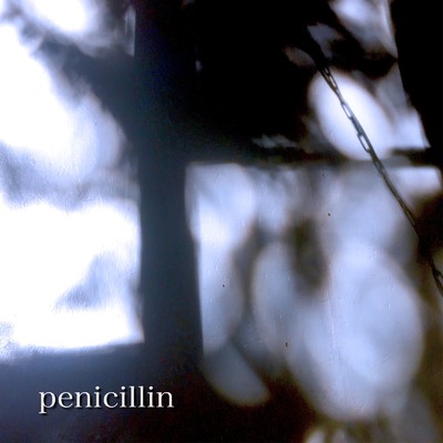 シングル/penicillin/Numbering9