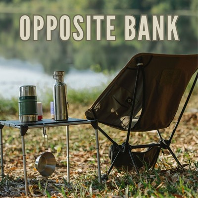 アルバム/Opposite bank/2strings